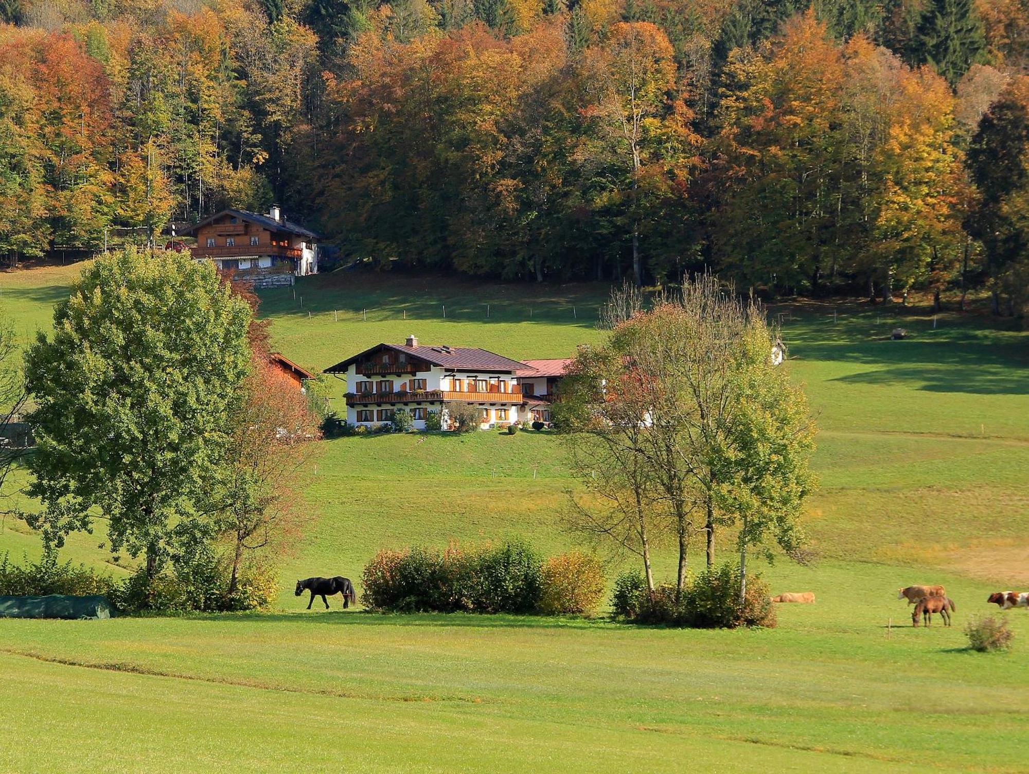 Obergoebllehen Schoenau am Koenigsee Exterior foto